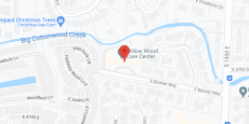 Willow Wood Care Center in google map