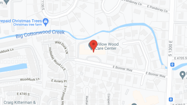 Willow Wood Care Center in google map