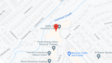 Apple Tree Assisted Living in google map