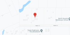 Llewellyns Magnolia Place in google map