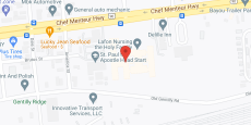 Lafon Nursing Facility in google map