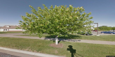 street view of Vintage Park at Baldwin City