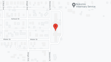 Nokomis Golden Manor Inc in google map