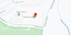 Realife Cooperative-Rochester in google map