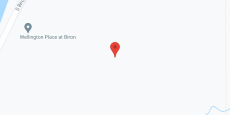 Wellington Place Biron in google map