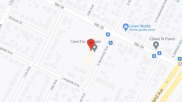 Cfaa Inc in google map