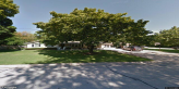 street view of Tender Loving Care Retirement