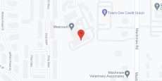 Independence Village of Saginaw in google map