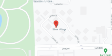 Silver Village in google map