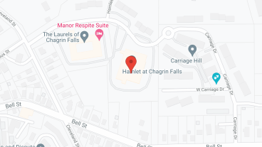 Hamlet at Chagrin Falls in google map