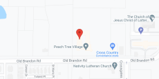 Peachtree Village in google map