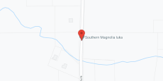 Southern Magnolia Iuka in google map