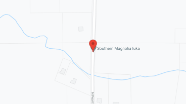Southern Magnolia Iuka in google map