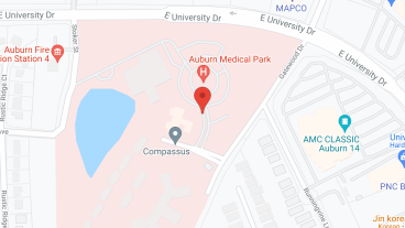 Summer Village at Camellia Place in google map