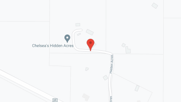 Chelsea's Hidden Acres Assisted Living in google map