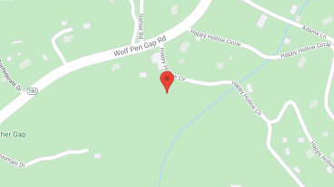 Misty Meadows Personal Care in google map