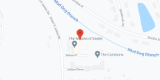 The Willows of Easley in google map