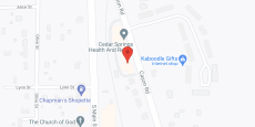 Cedartown Health Care in google map