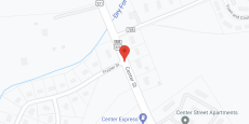 Palmetto Village of Chester in google map