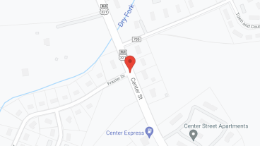 Palmetto Village of Chester in google map