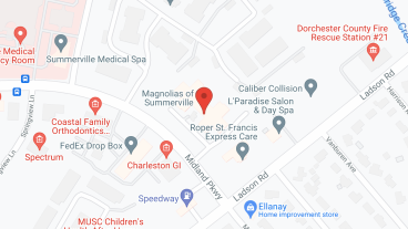 TerraBella Summerville in google map