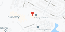 The Bridge at Charleston in google map