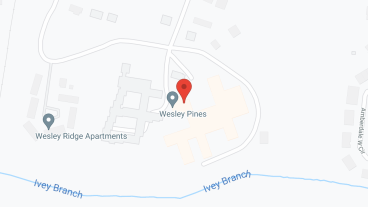 Wesley Pines in google map