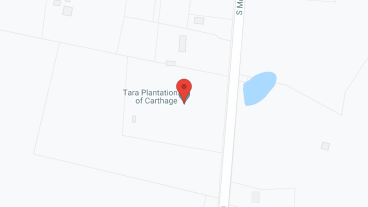Tara Plantation of Carthage in google map