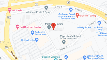 Palmetto Towers in google map