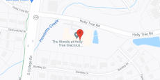 The Woods at Holly Tree in google map