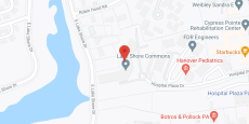 Holiday Lake Shore Commons in google map