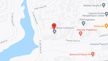 Holiday Lake Shore Commons in google map