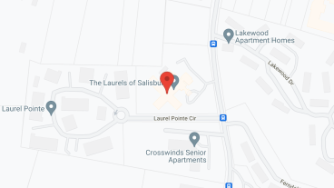 Laurels of Salisbury in google map