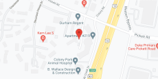 Holiday Durham Regent in google map