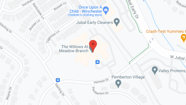 The Willows At Meadow Branch in google map
