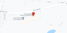 Orangeville Health and Rehabilitation in google map