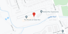The Woods At Cedar Run in google map