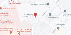 Susquehanna View Apartments in google map