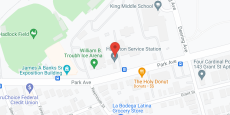 Iris Network in google map