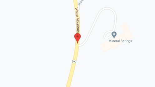 Map of the neighborhood around Mineral Springs