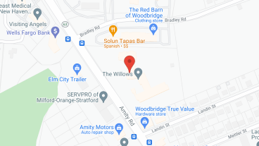 Willows Care and Rehabilitation in google map