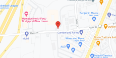 Carriage Green at Milford in google map