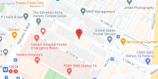 Greater Harlem Nursing Home in google map