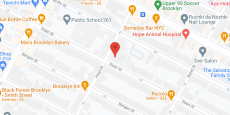 Hopkins Center for Rehab & Healthcare in google map