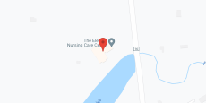 Victory Lake Nursing Ctr in google map