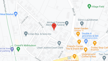 The New Village View SP LLC in google map