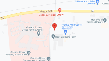 Orleans County Nursing Home in google map