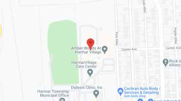 The Villages of Harmar in google map