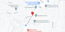 Allegheny Place in google map