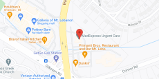 The Pines of Mt. Lebanon in google map